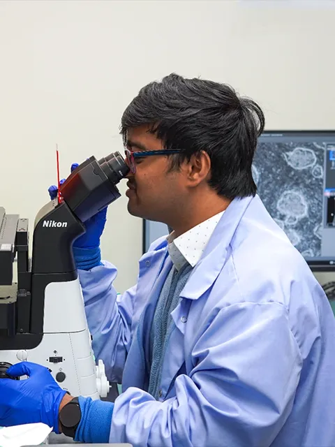 Researcher looking in microscope