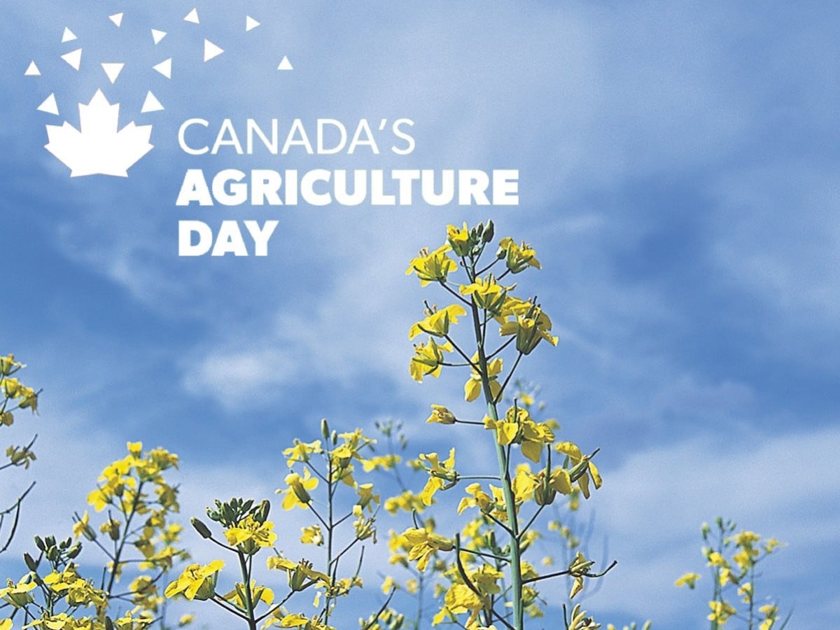 ​Winnipeg is Canada’s agriculture powerhouse 
