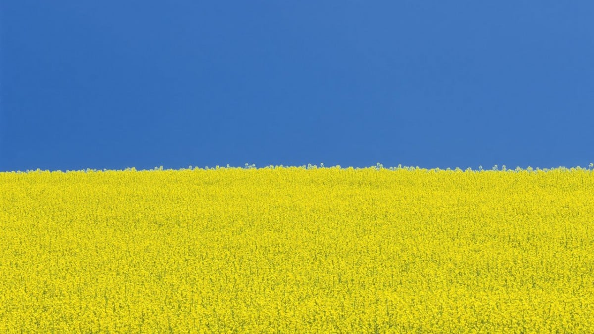 Help Ukrainians fleeing the war find work in Manitoba