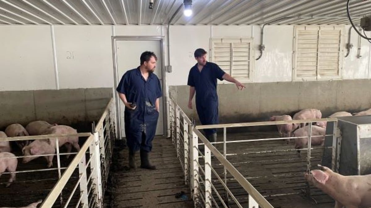 Winnipeg's FeedFlo uses tech to solve a major ag problem for livestock