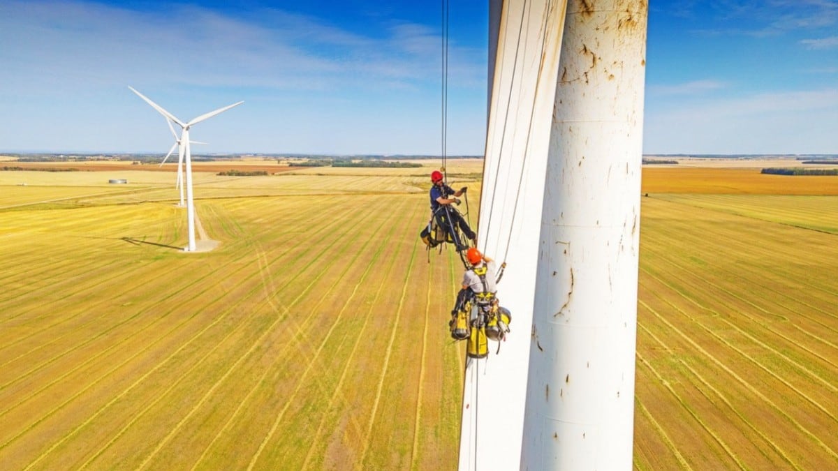 An inside look at Manitoba’s flourishing green sector